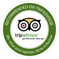 Verba Volant Tripadvisor manent